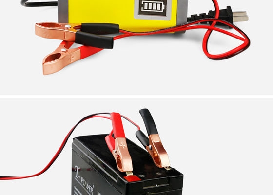 Carregador de bateria ESPERTO poderoso 12v/24v da eficiência elevada 5A 10A 20Amp para a bateria acidificada ao chumbo
