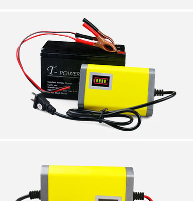 Carregador de bateria ESPERTO poderoso 12v/24v da eficiência elevada 5A 10A 20Amp para a bateria acidificada ao chumbo