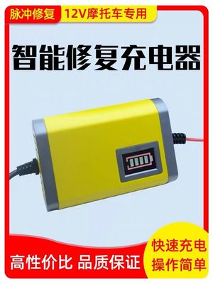 O CE do carregador de bateria de Travelscoot do controle do microprocessador entrou C.A. 180-220V 50Hz